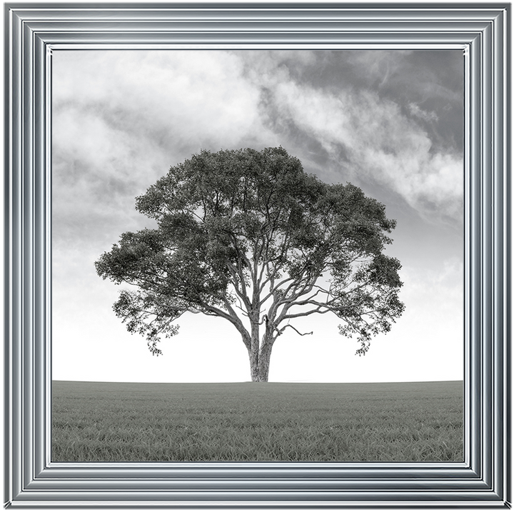 LS190 Lone Tree 1