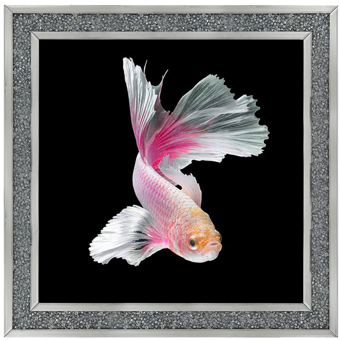 Pink & White Betta Fish |