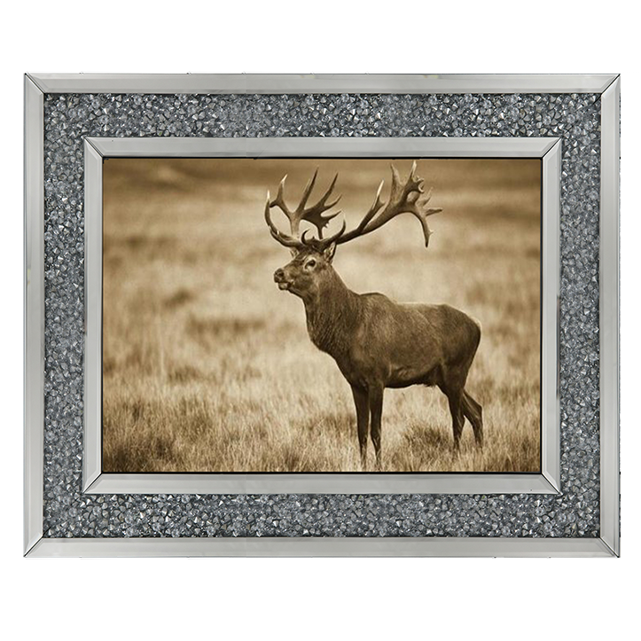 AN064 Red Deer stag, Cogenhagen, Denmark