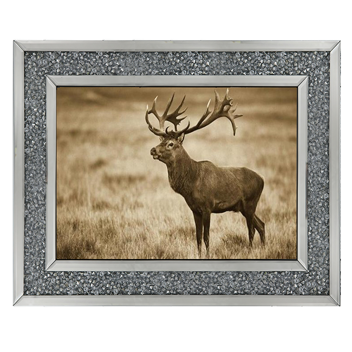 AN064 Red Deer stag, Cogenhagen, Denmark