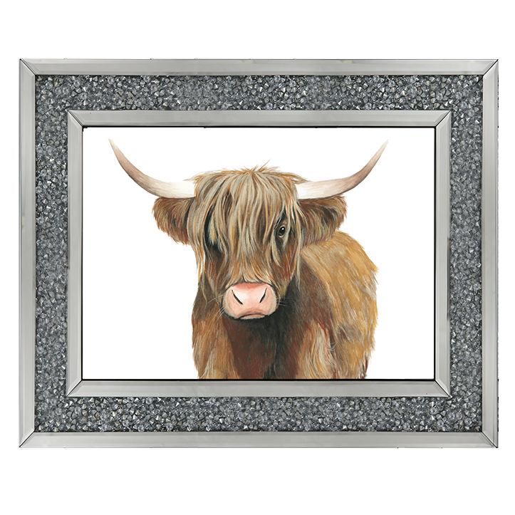 AN009 Highland Cattle II