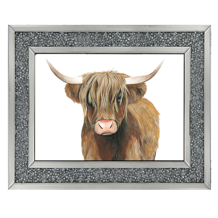 AN009 Highland Cattle II