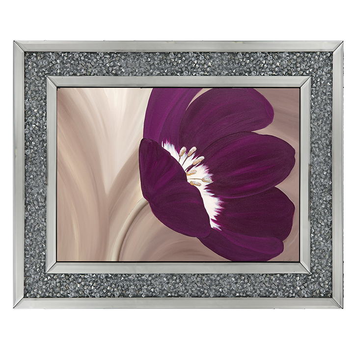 Velvet Poppy