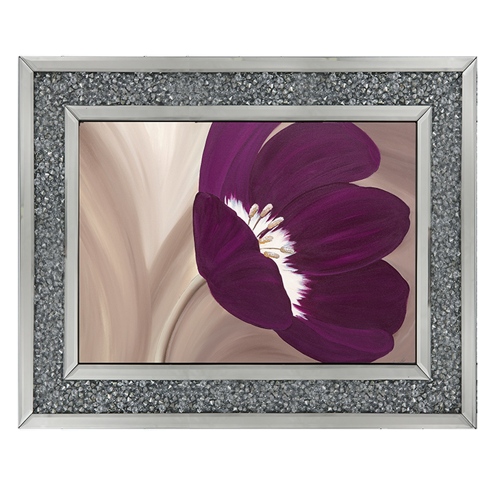 Velvet Poppy