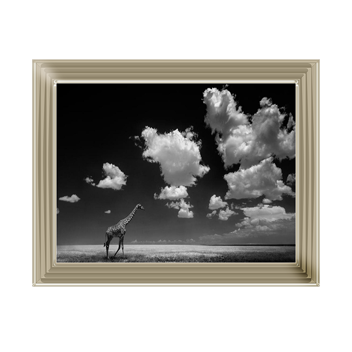 Ghizzi Panizza -Gone with the Clouds