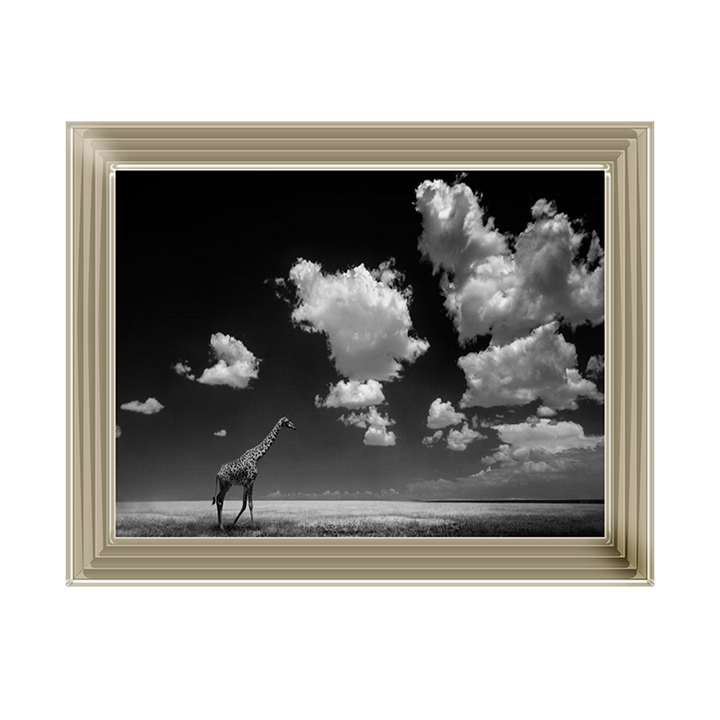 Ghizzi Panizza -Gone with the Clouds