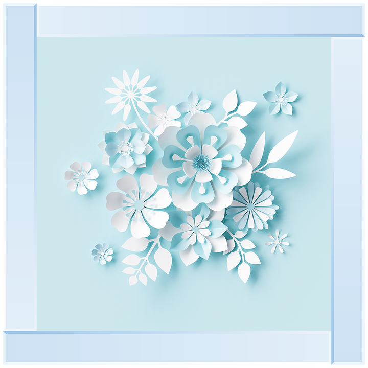 FL008 3D white paper flowers on blue background