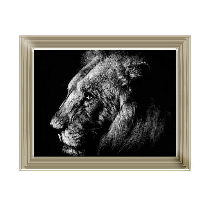 AN025 Wildlife Scratchboards I