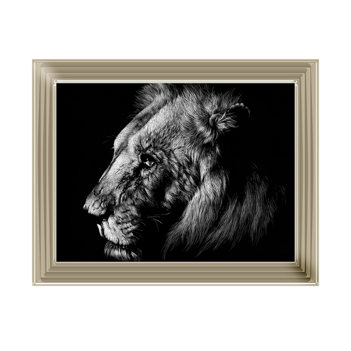 AN025 Wildlife Scratchboards I