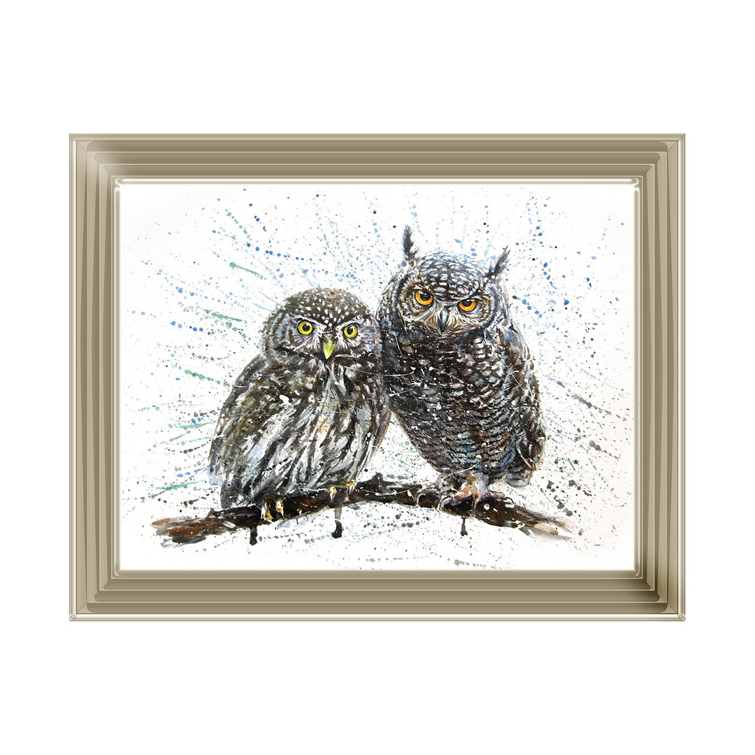 Owls