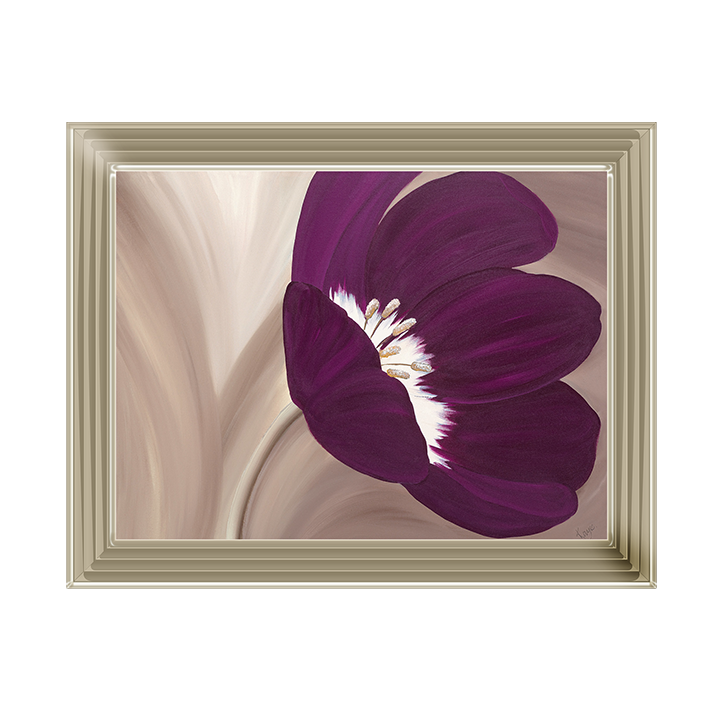 Velvet Poppy