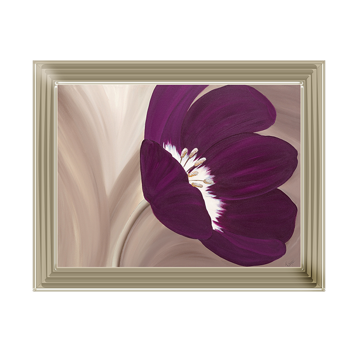 Velvet Poppy