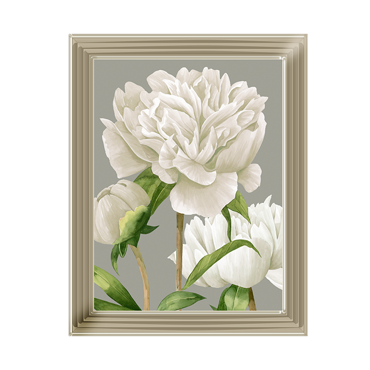 White Peonies II