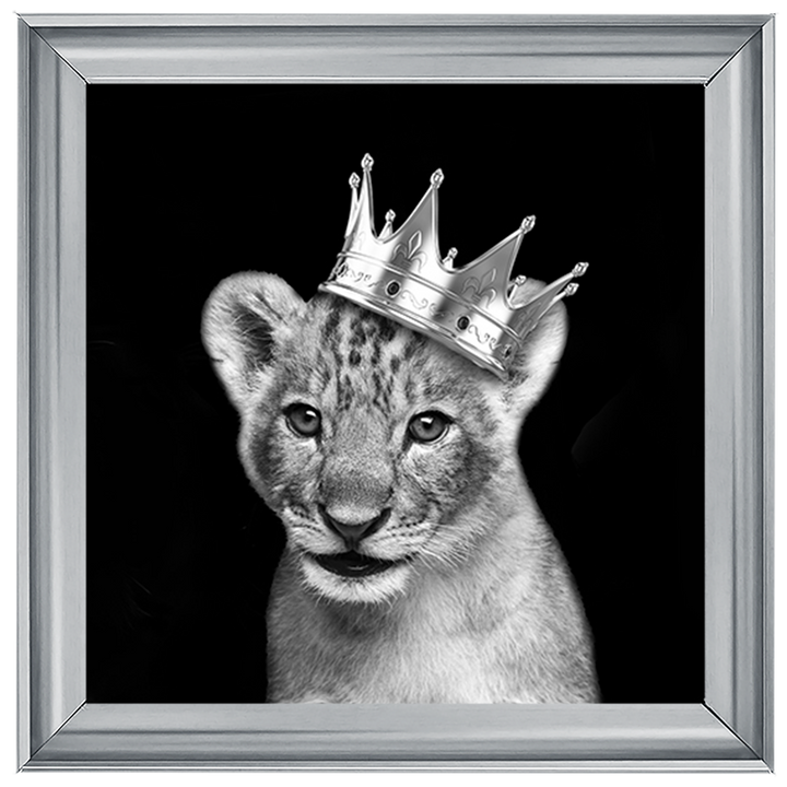 Prince Cub Silver