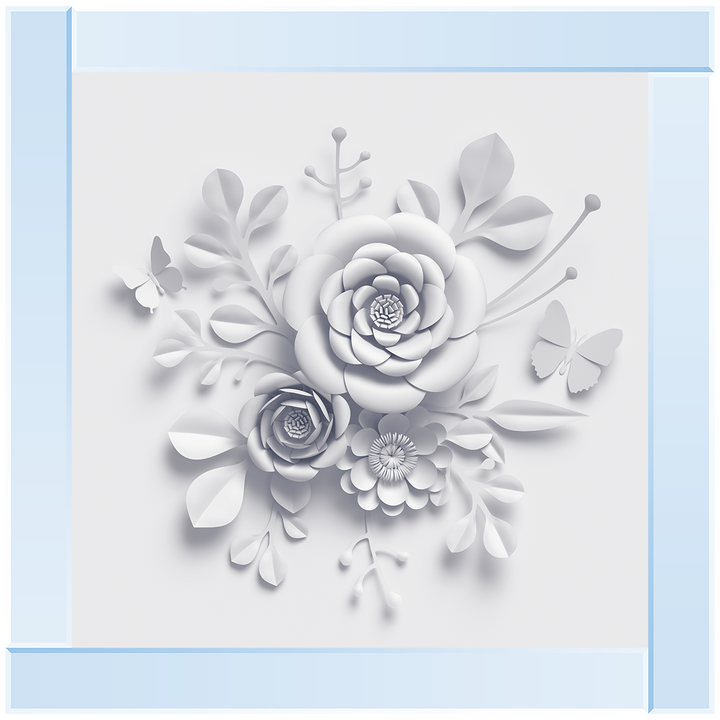 FL009 3D white paper flowers on white background