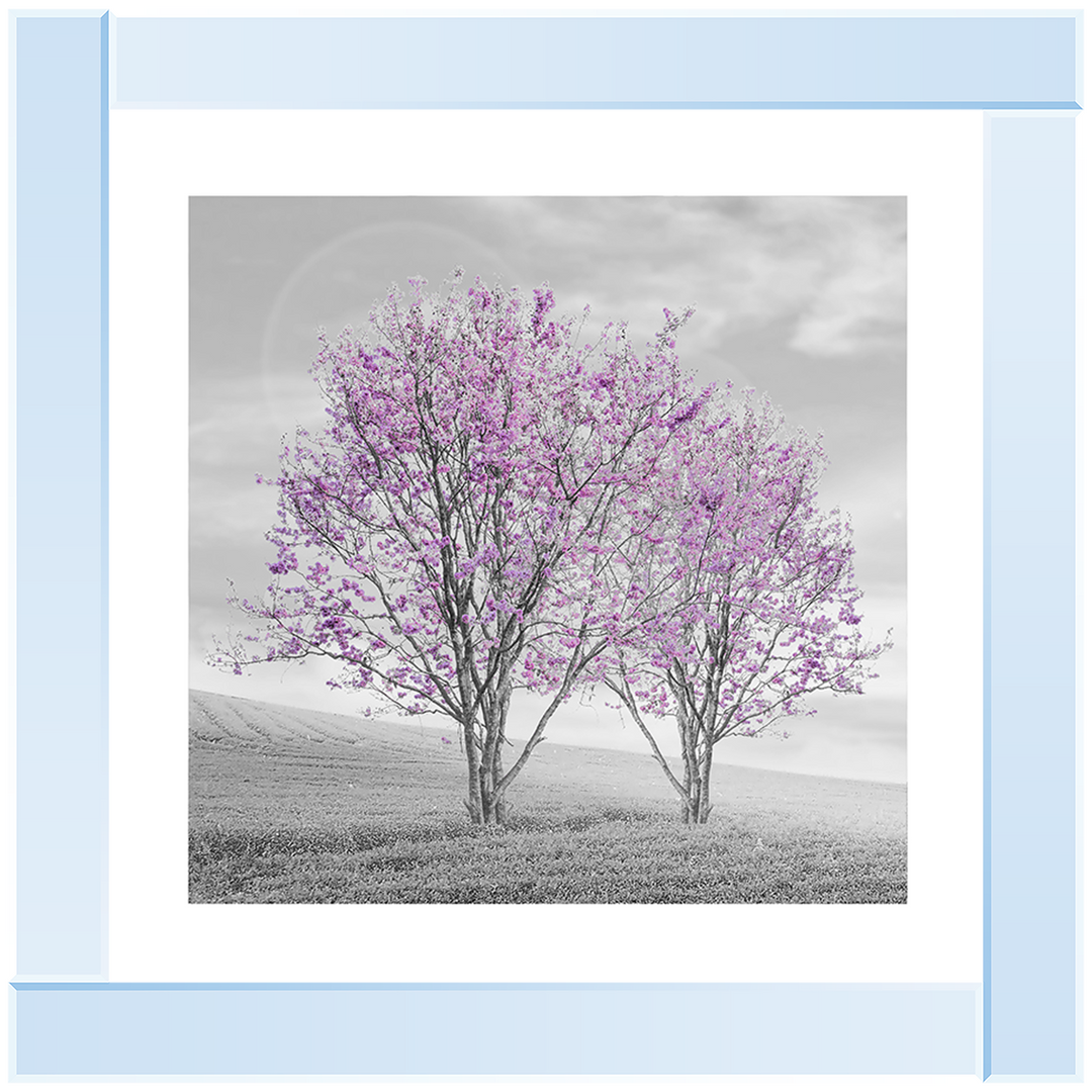 LS124 Purple Twin Trees