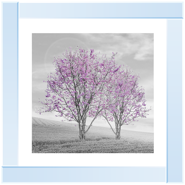 LS124 Purple Twin Trees