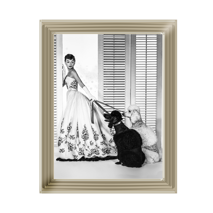 IC005 Audrey Hepburn Poodles