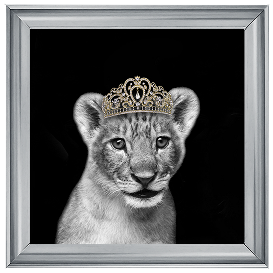 Princess Cub Gold
