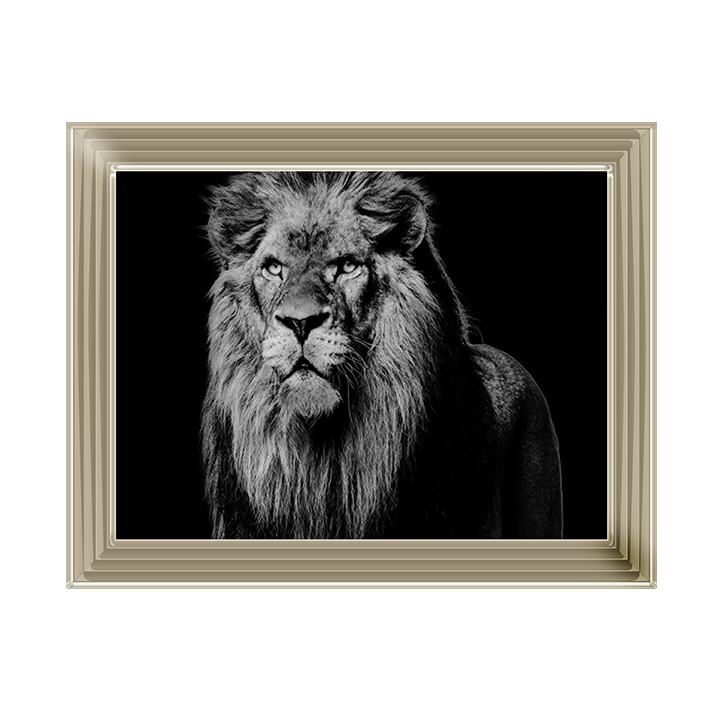 Dark Night Leo