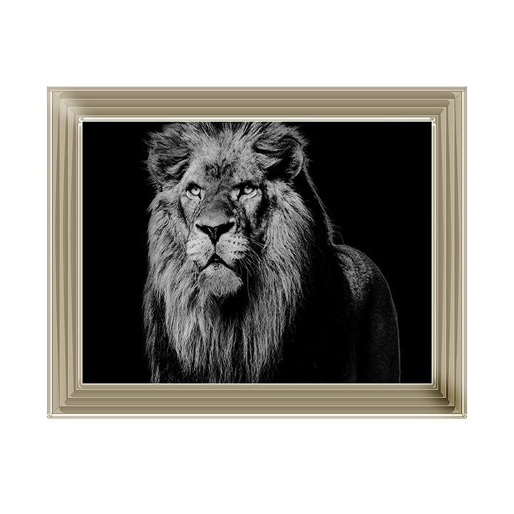Dark Night Leo