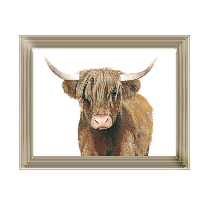 AN009 Highland Cattle II