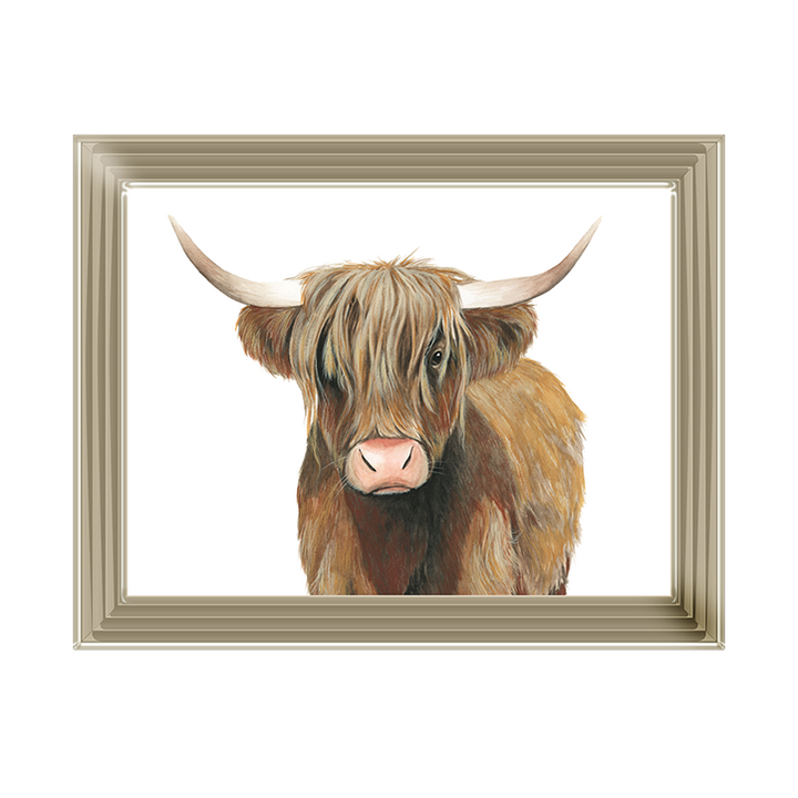 AN009 Highland Cattle II