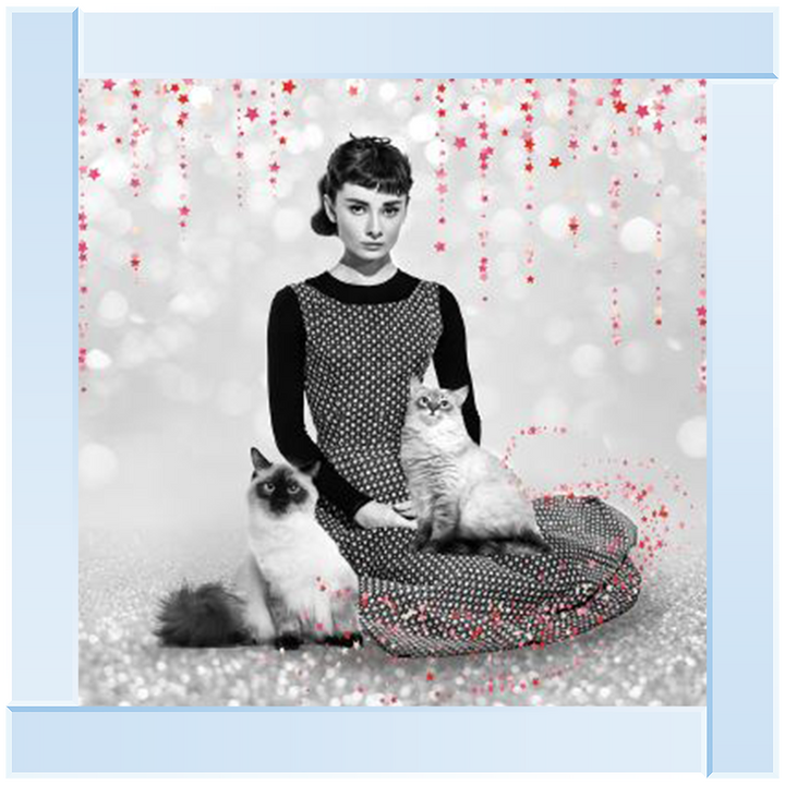 IC011 Audrey and cats