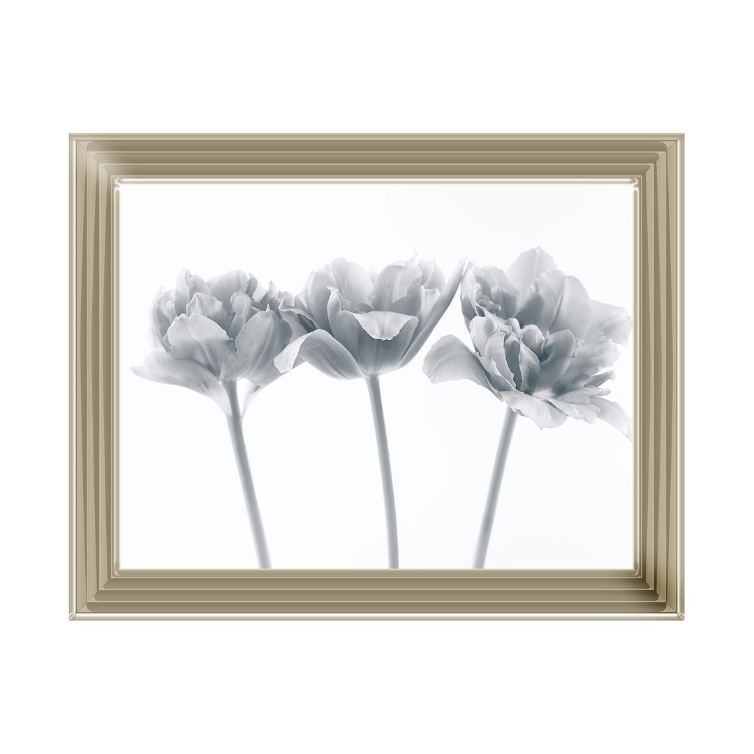 Set of 3 flowers II