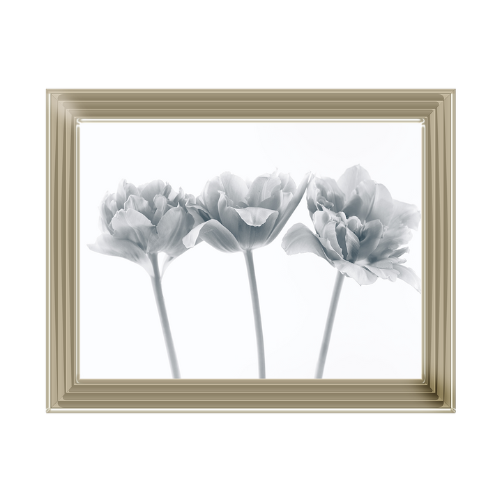 Set of 3 flowers II