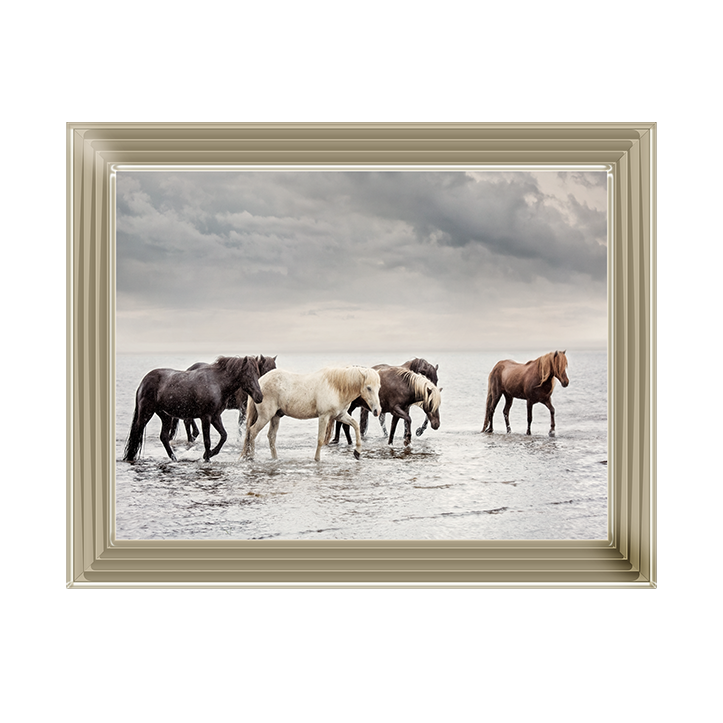 Water Horses IV