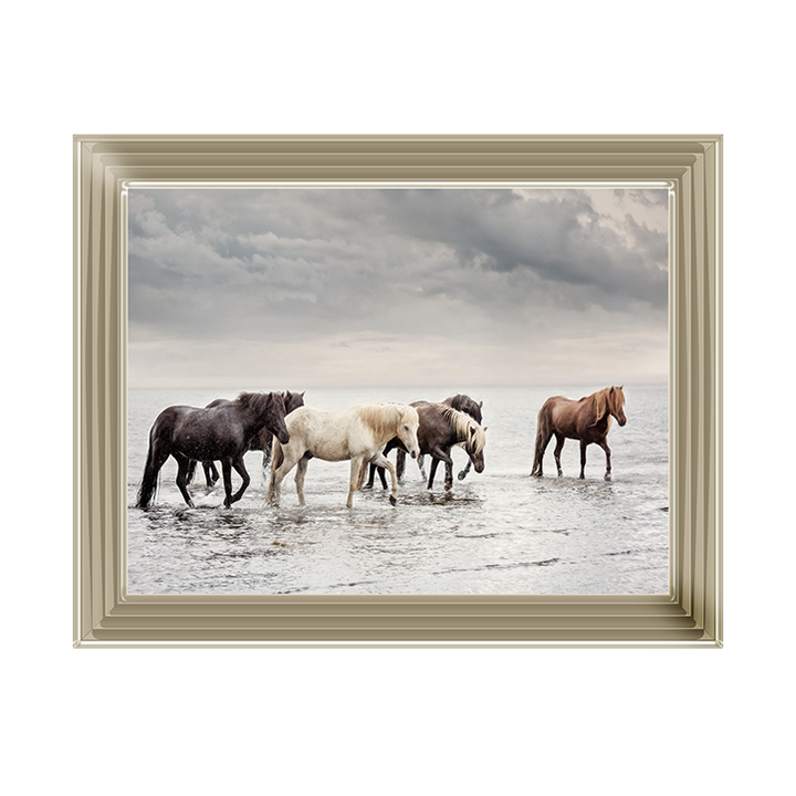 Water Horses IV