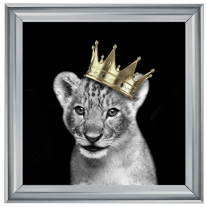 Prince Cub Gold