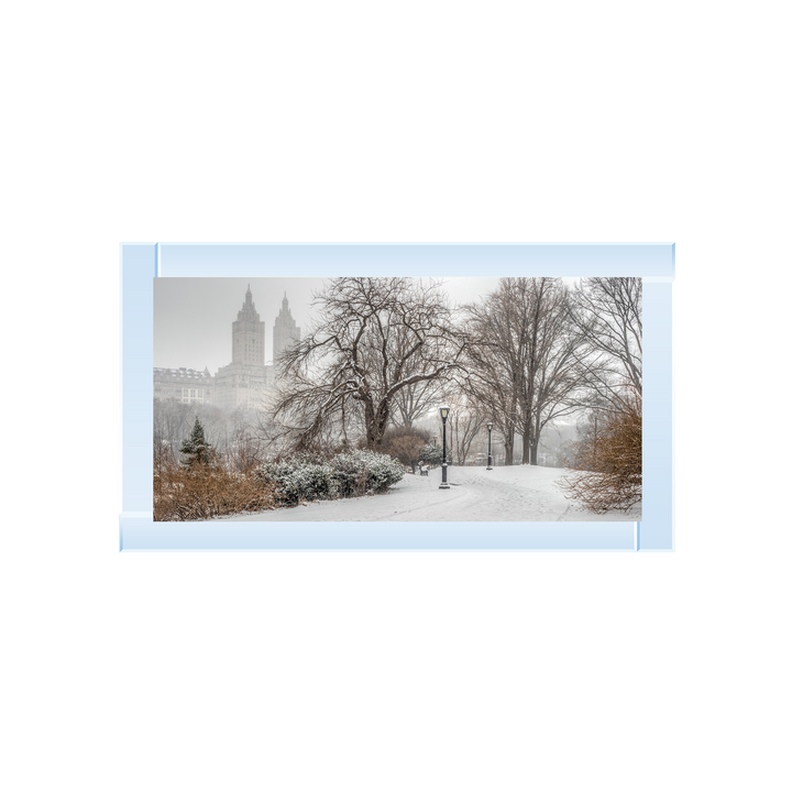 Winter City