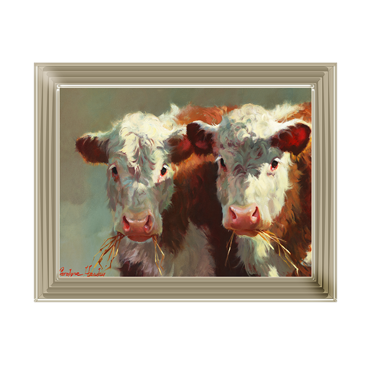 Cow Belles