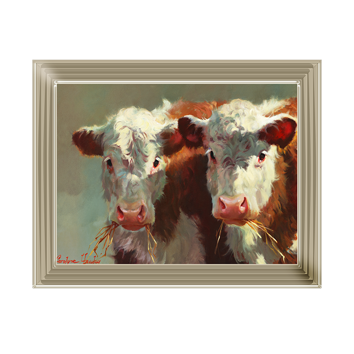 Cow Belles