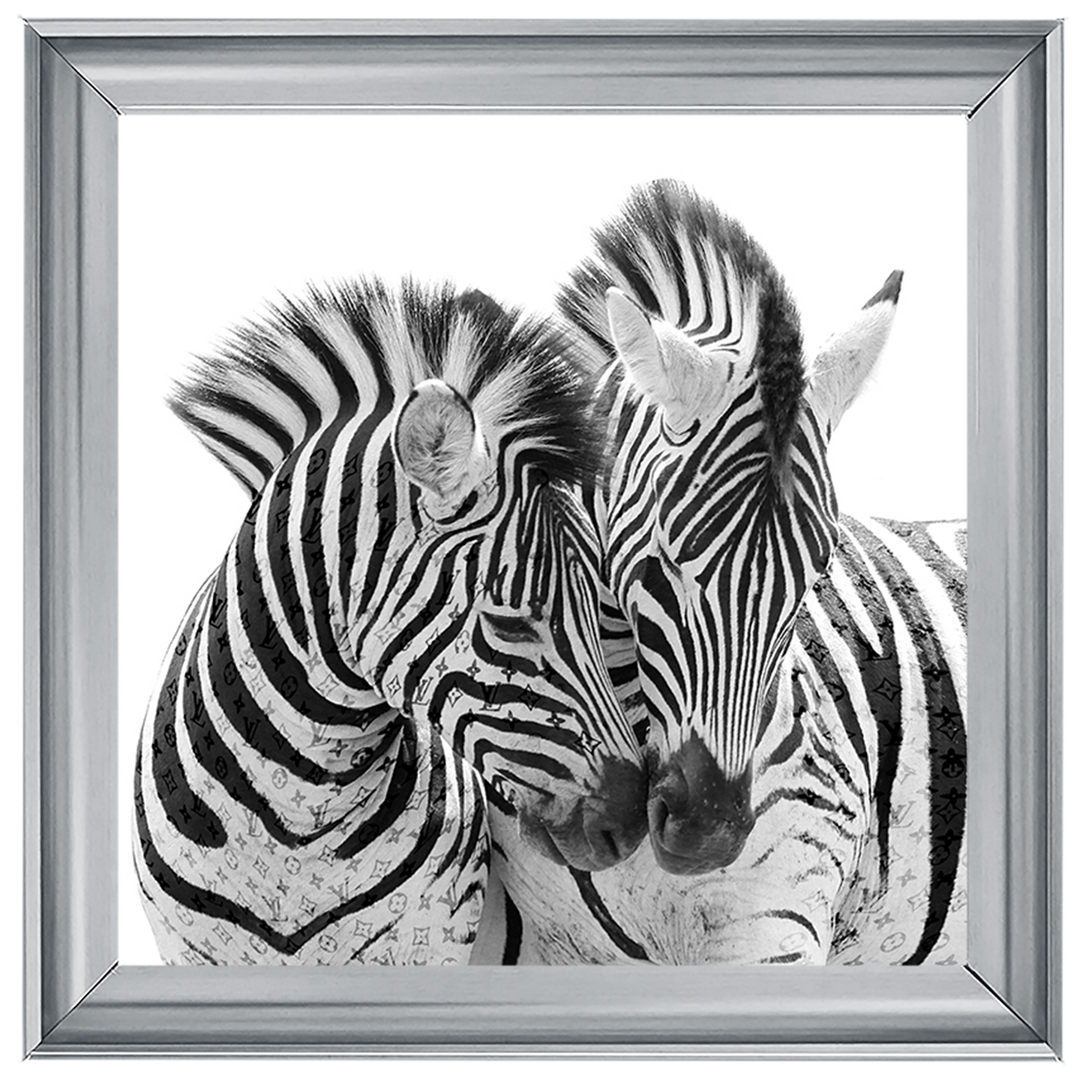 AN285 Zebra Love
