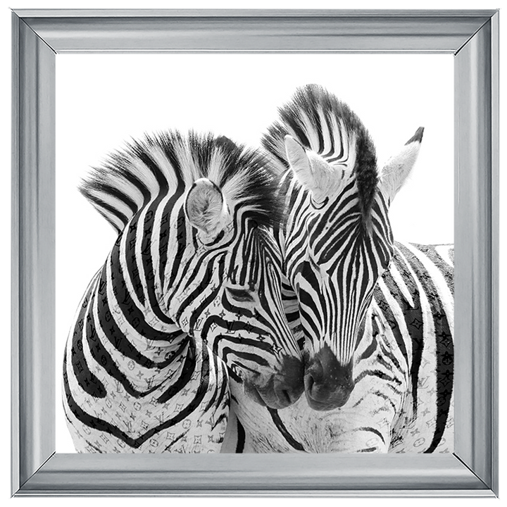 AN285 Zebra Love