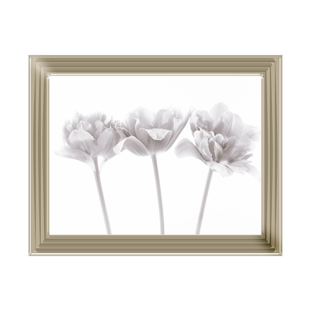 Set of 3 flowers