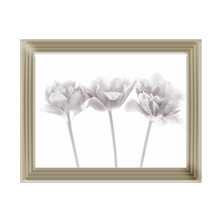 Set of 3 flowers