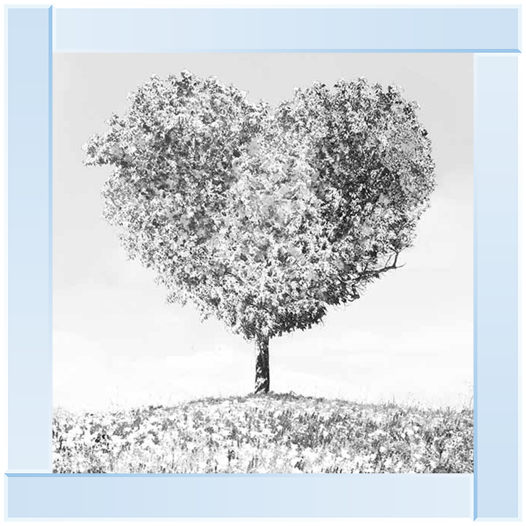 LS297 Black & White Lone Heart Tree