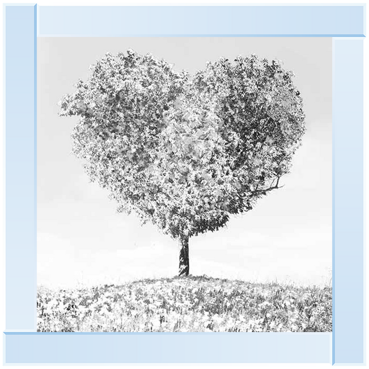 LS297 Black & White Lone Heart Tree