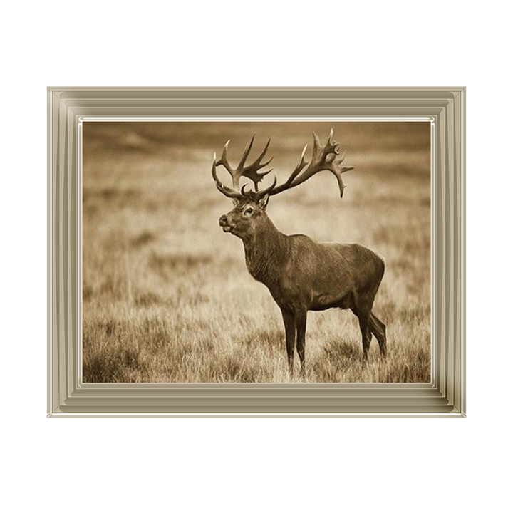 AN064 Red Deer stag, Cogenhagen, Denmark