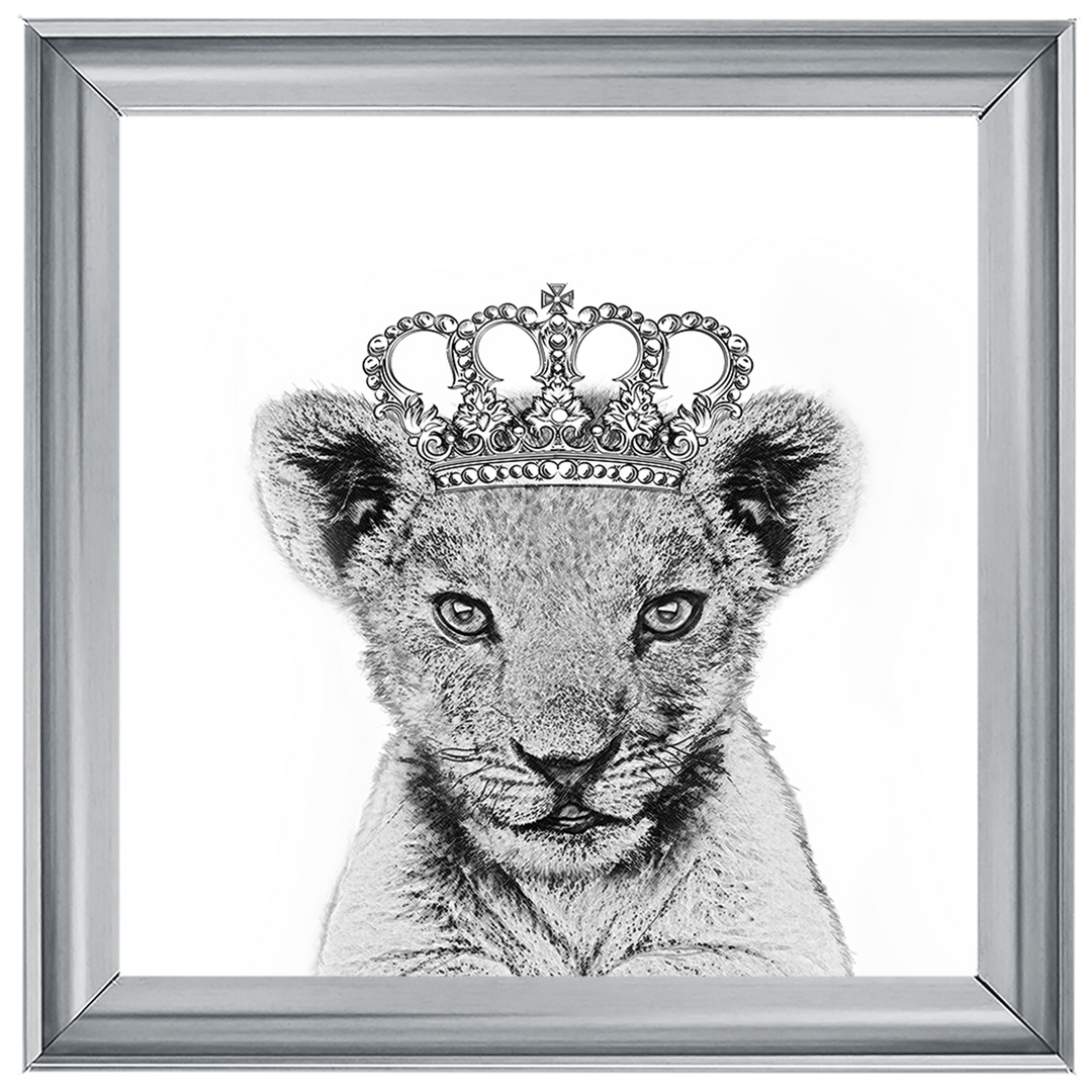 Princess Cub