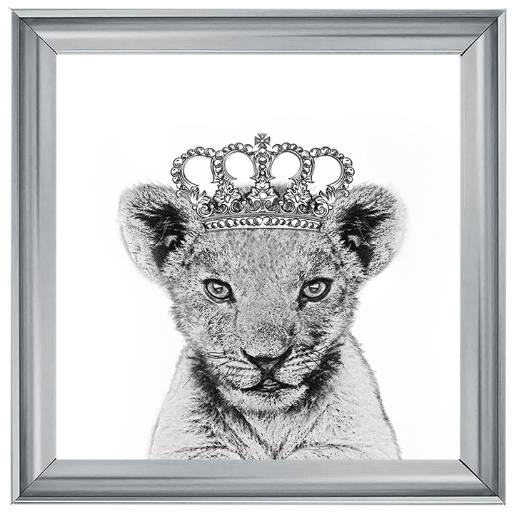 Princess Cub