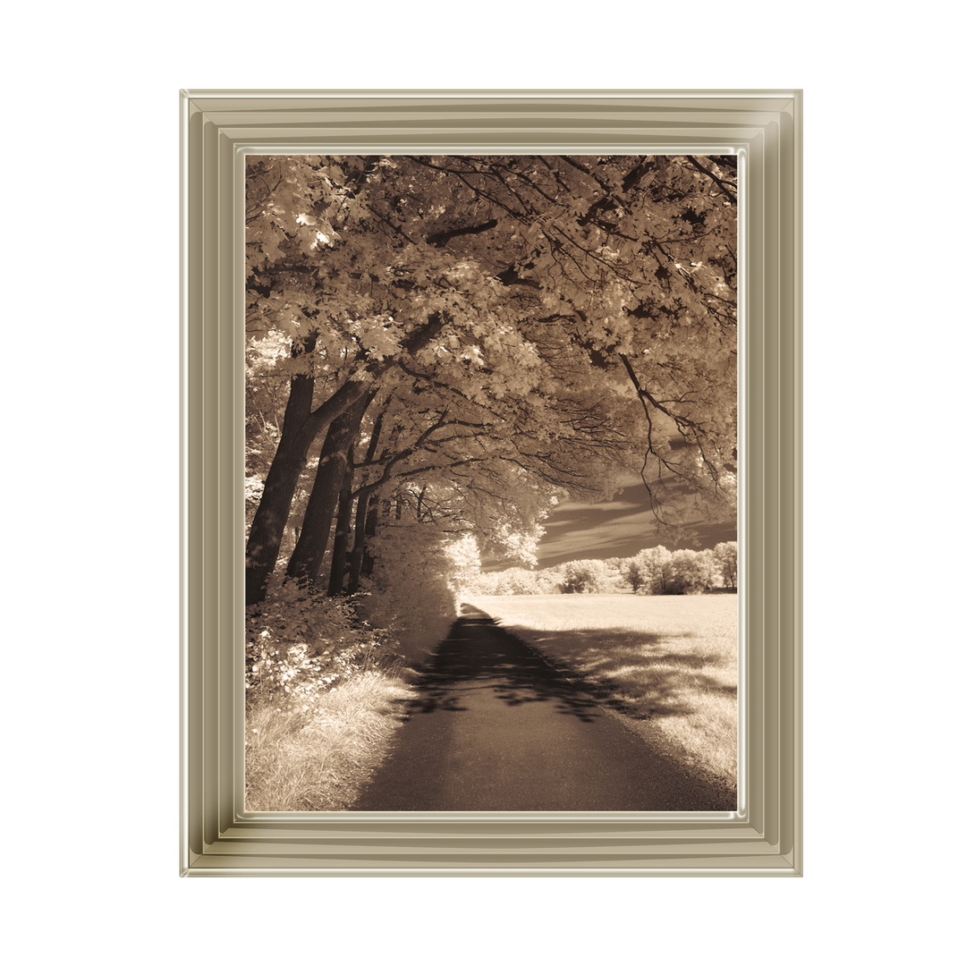 The Path Ahead