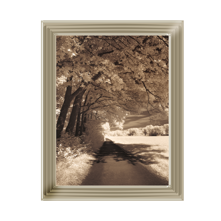 The Path Ahead