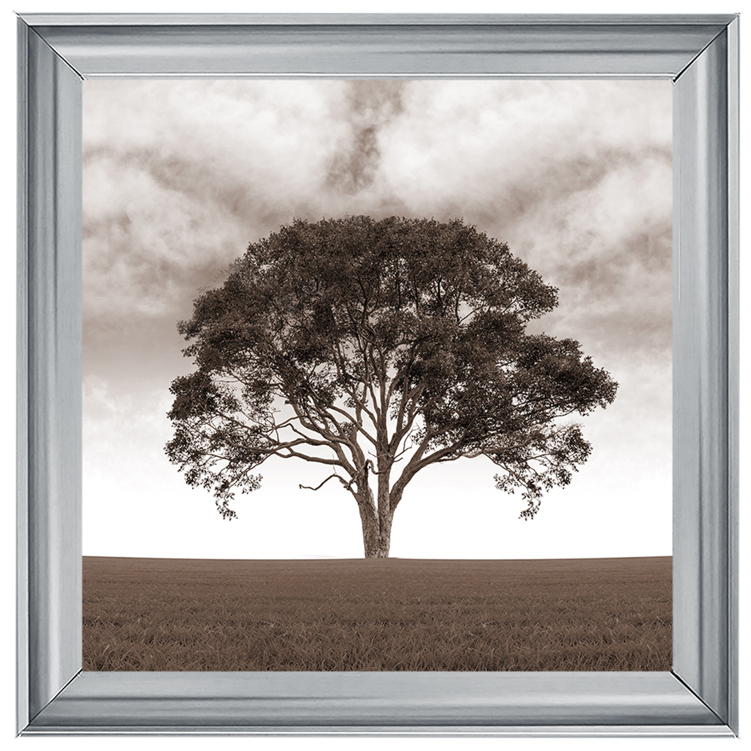 LS189 Lone Tree
