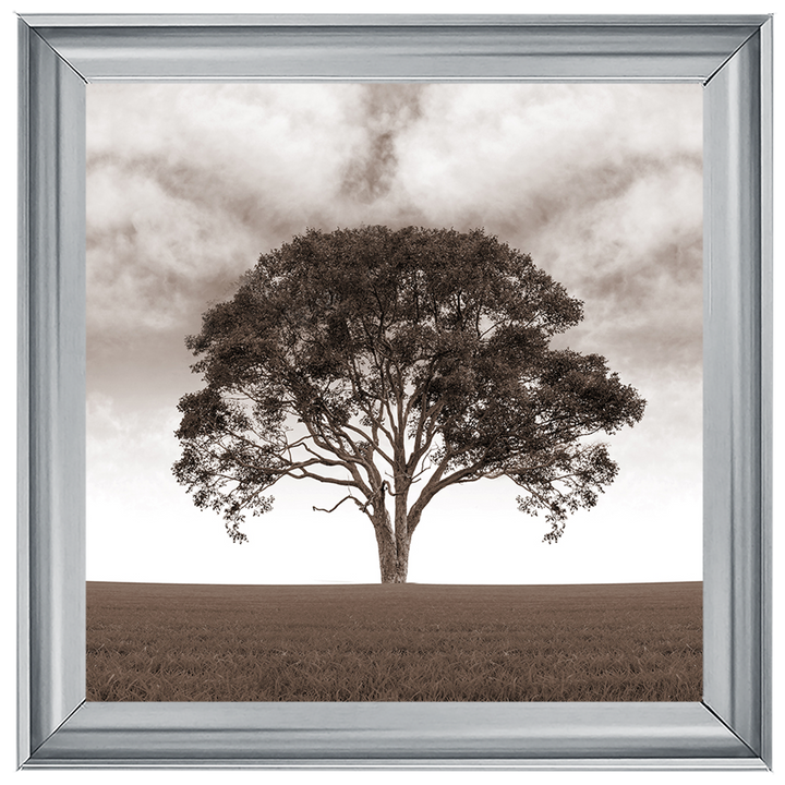 LS189 Lone Tree