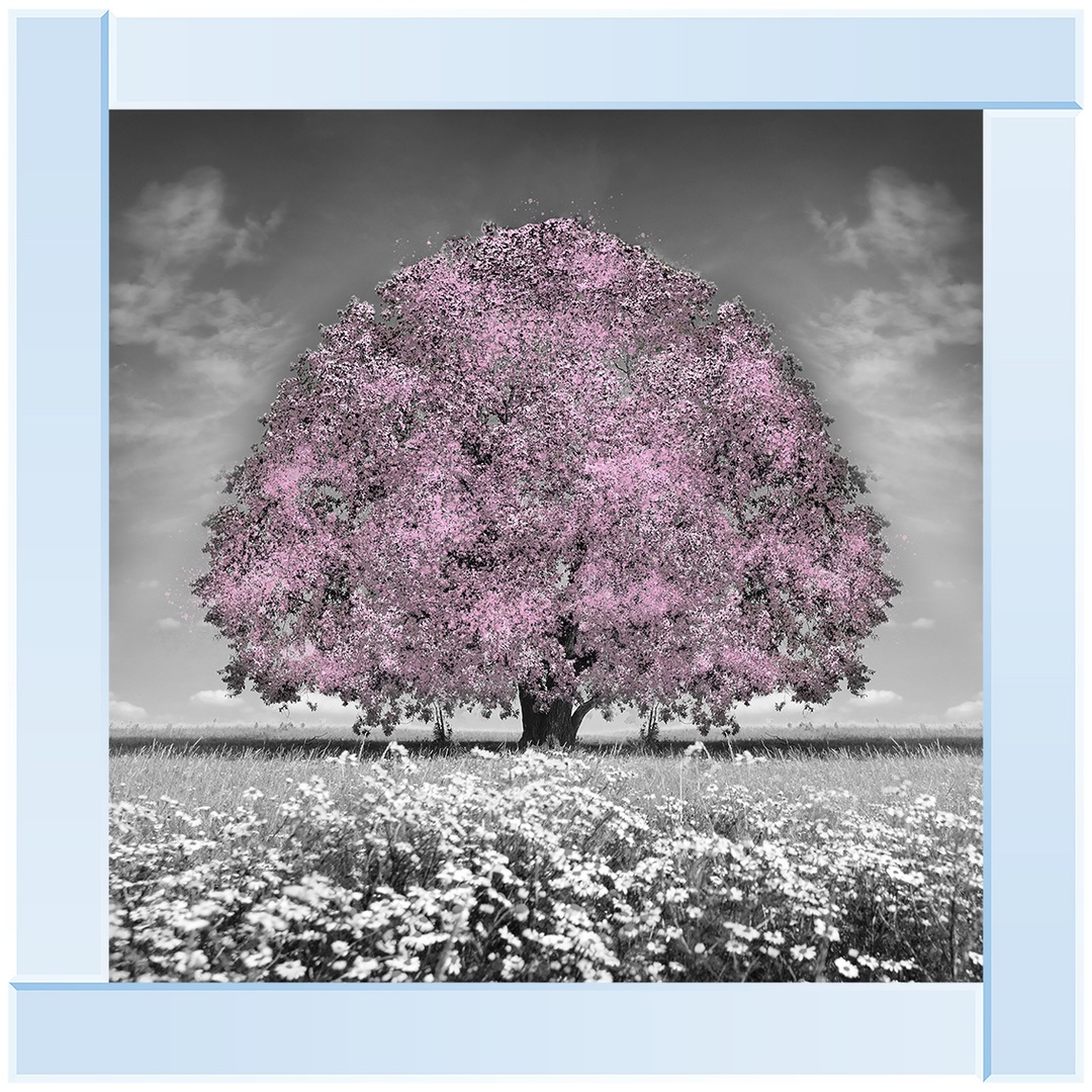 LS275 Pink Oak Tree
